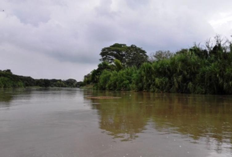 Río Cauca