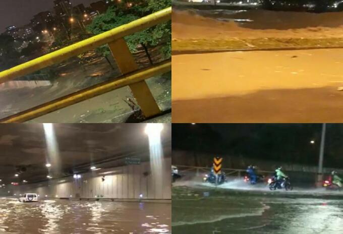 Accidentes vehiculares, desplome de árboles, incendios estructurales y el rescate de animales fueron los incidentes más frecuentes el año pasado.