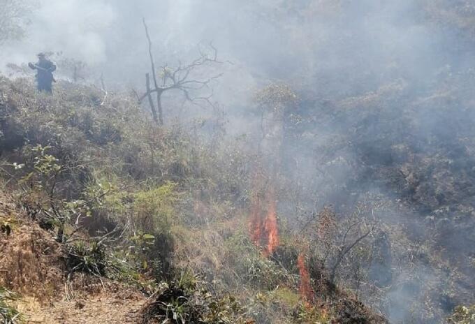 Las autoridades recomendaron evitar las quemas o dejar fósforos, vidrios o plásticos en zonas verdes.