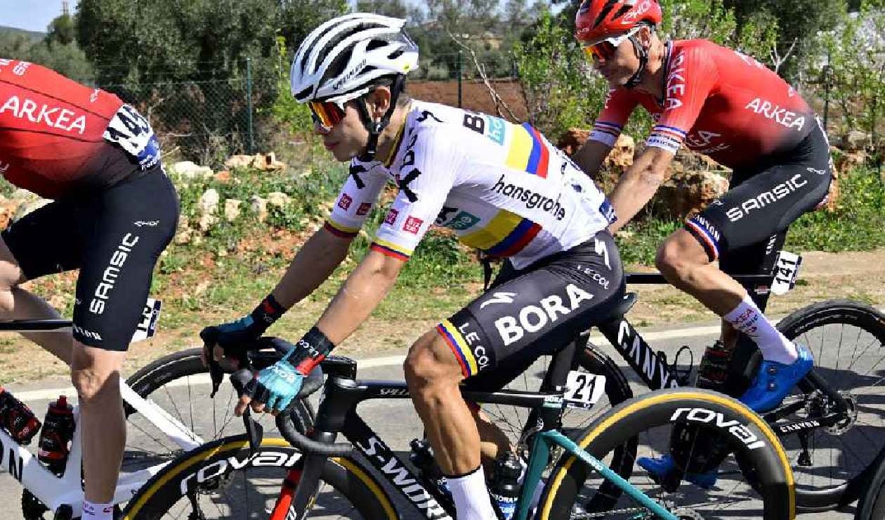 Sergio Higuita, Bora