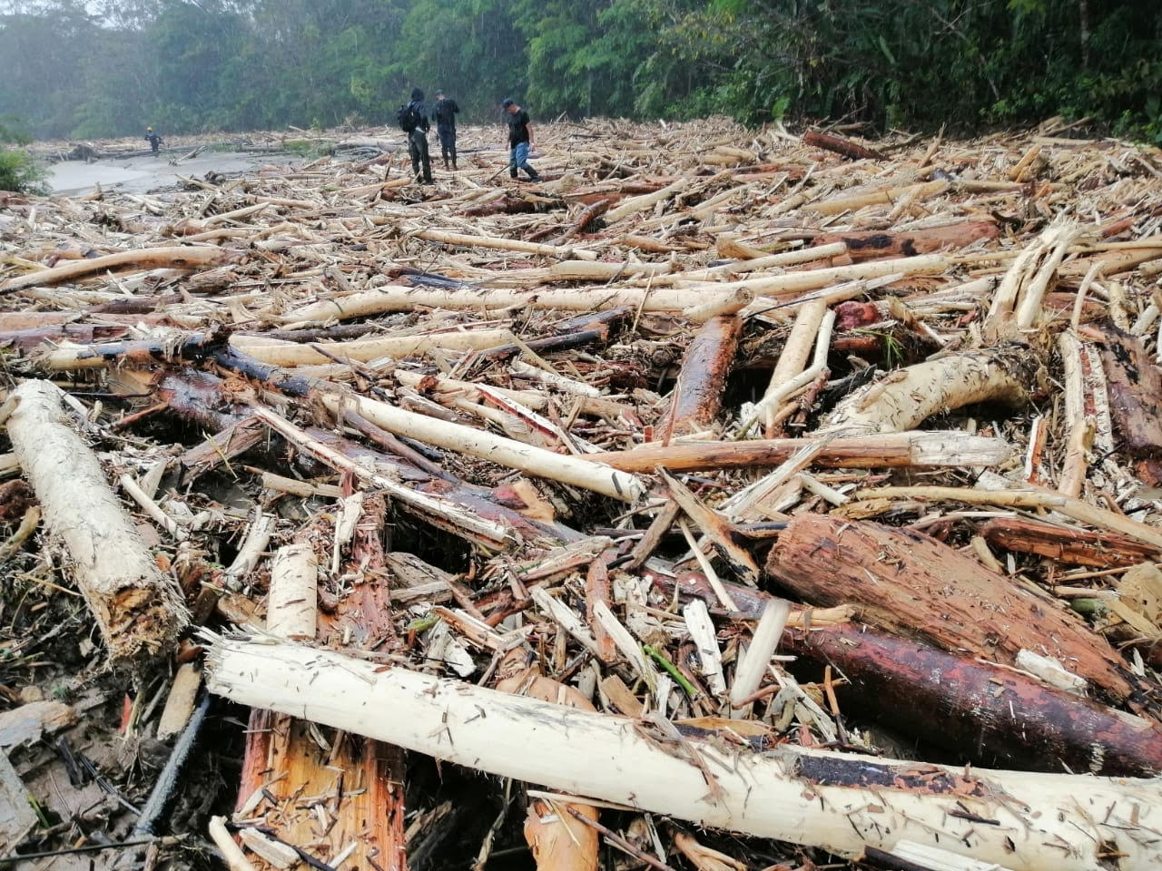 Empalizada en el río Murindó, Urabá antioqueño.