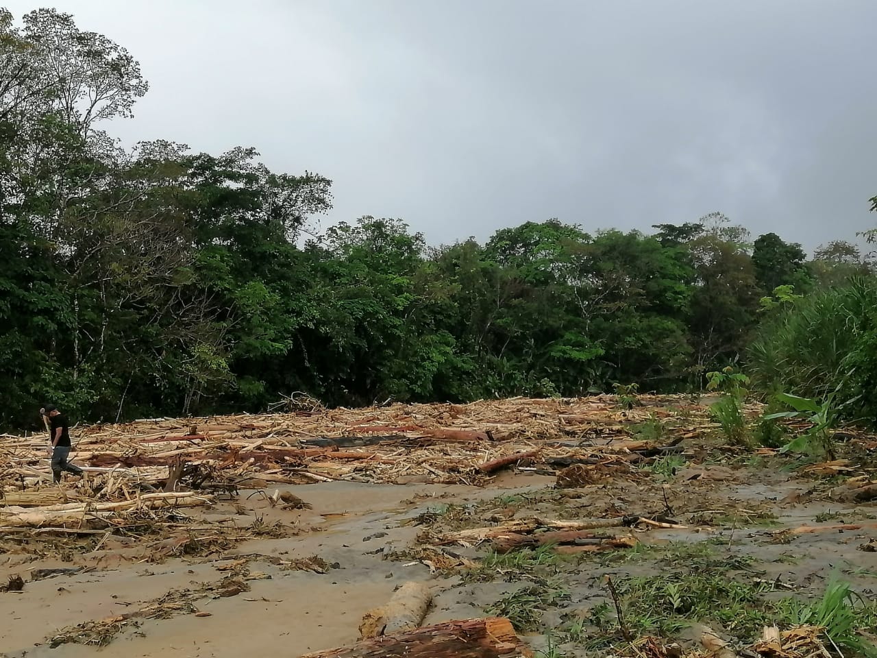 Referencia emergencias por lluvias en Antioquia.