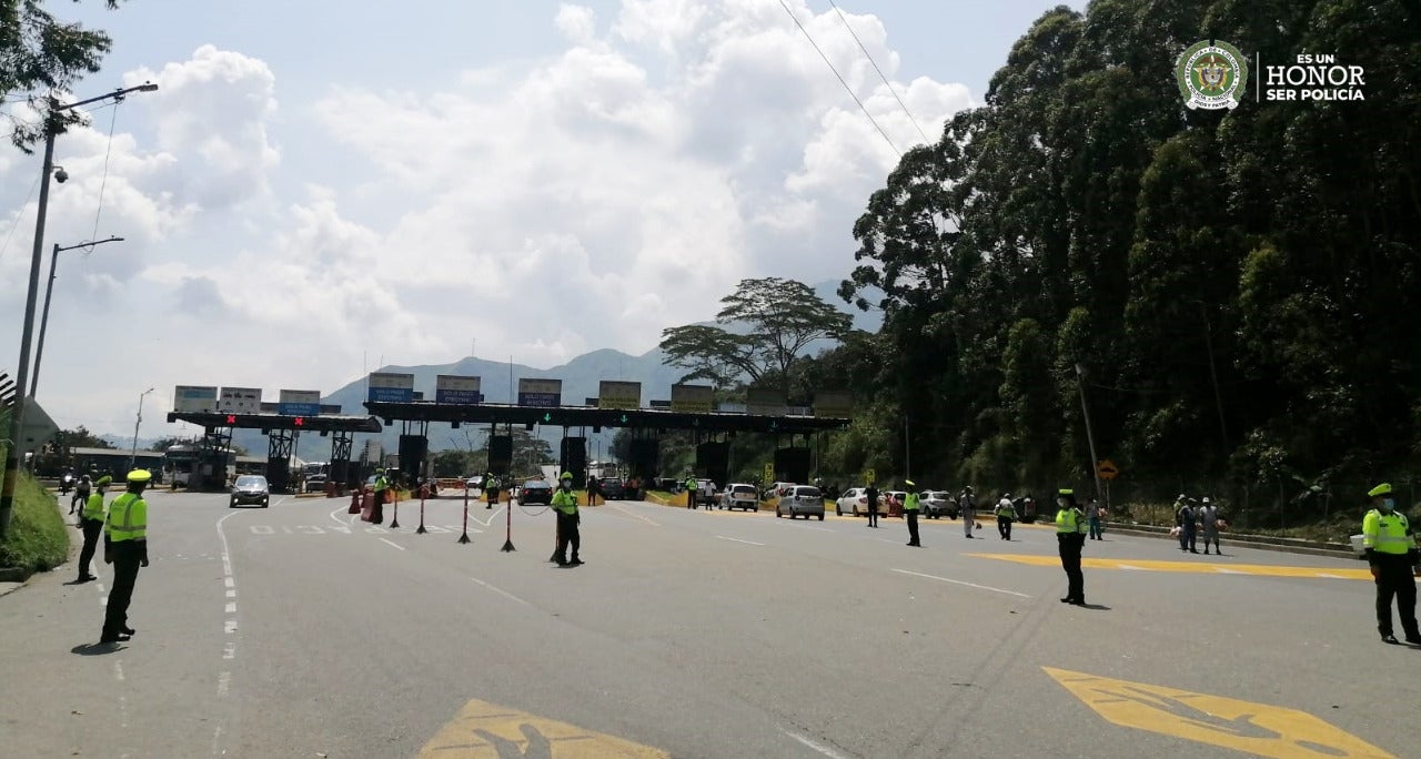 Durante estos días se incautaron más de mil especies de palma de cera y 24 de fauna silvestre.