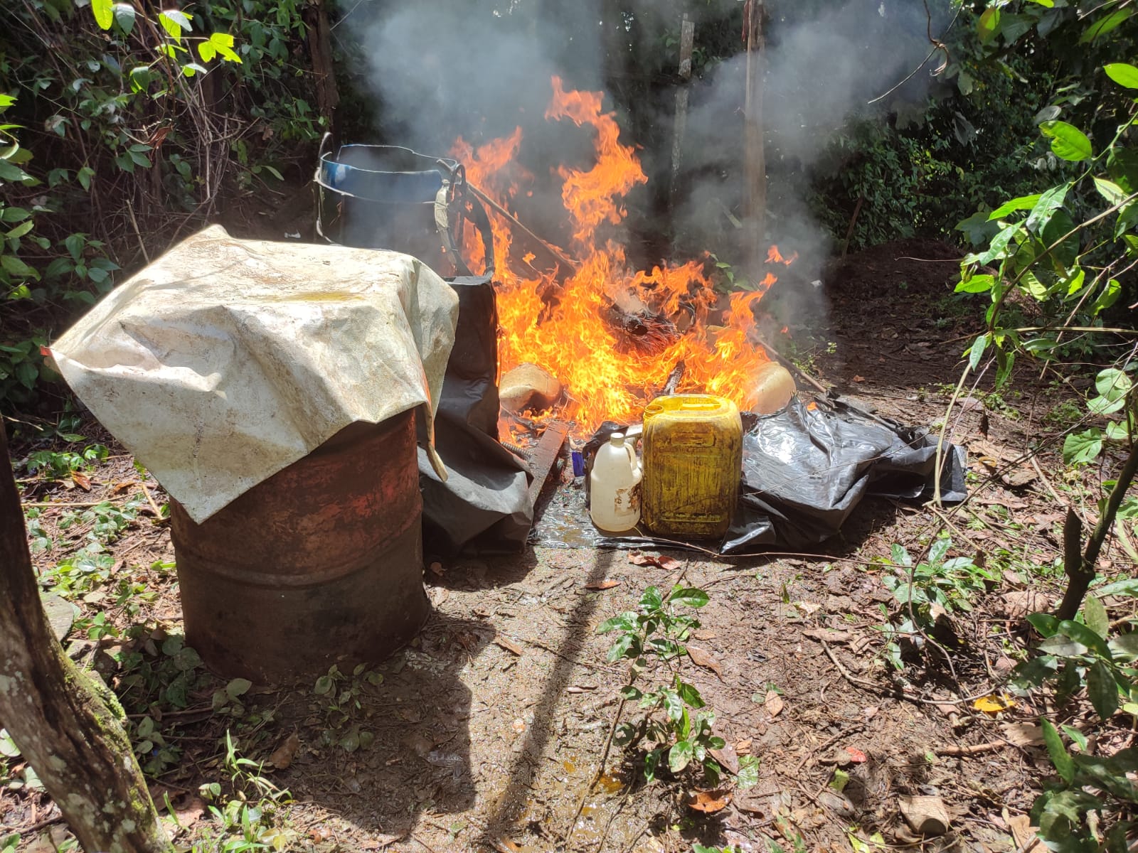 En estos lugares se producían más de 50 kilos de alcaloide con ganancias de más de 80 millones de pesos.