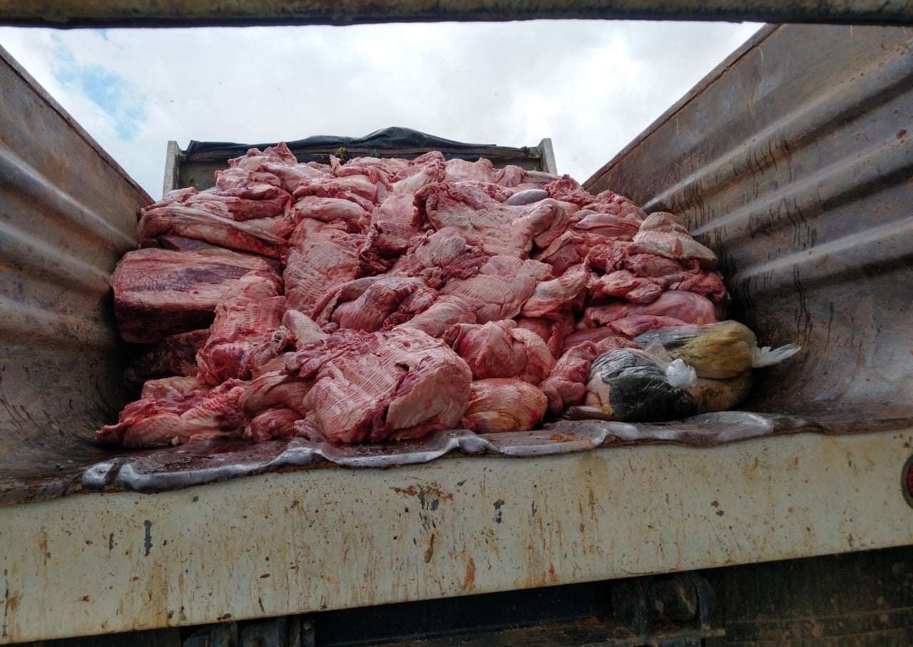 Matadero clandestino iba vender 8 mil kilos de carne rancia en Don Matías, Antioquia