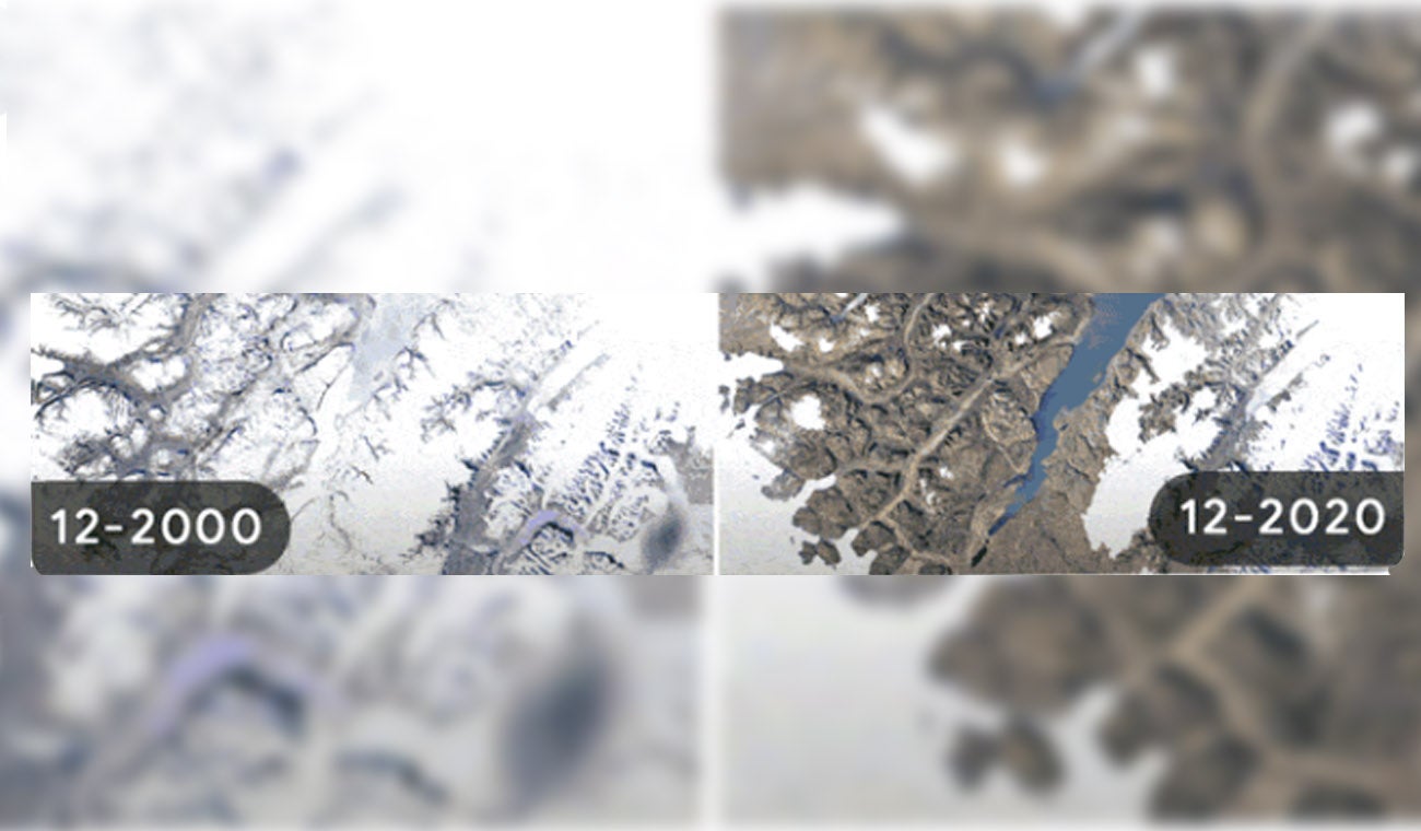 Doodle Día de la Tierra 2022