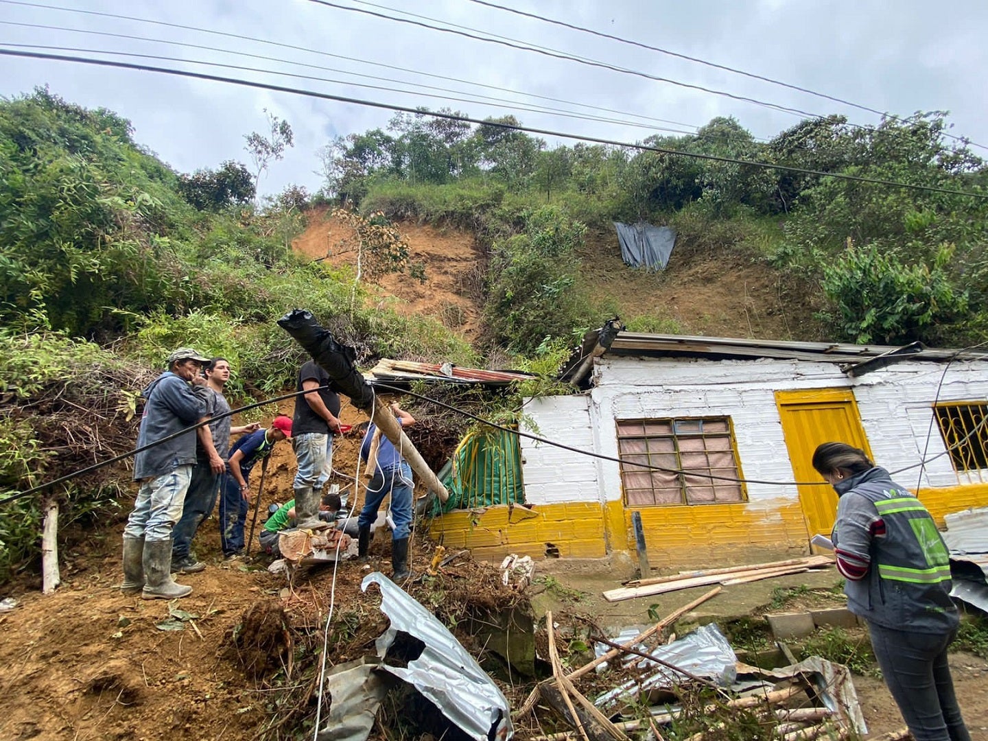 Imagen de referencia