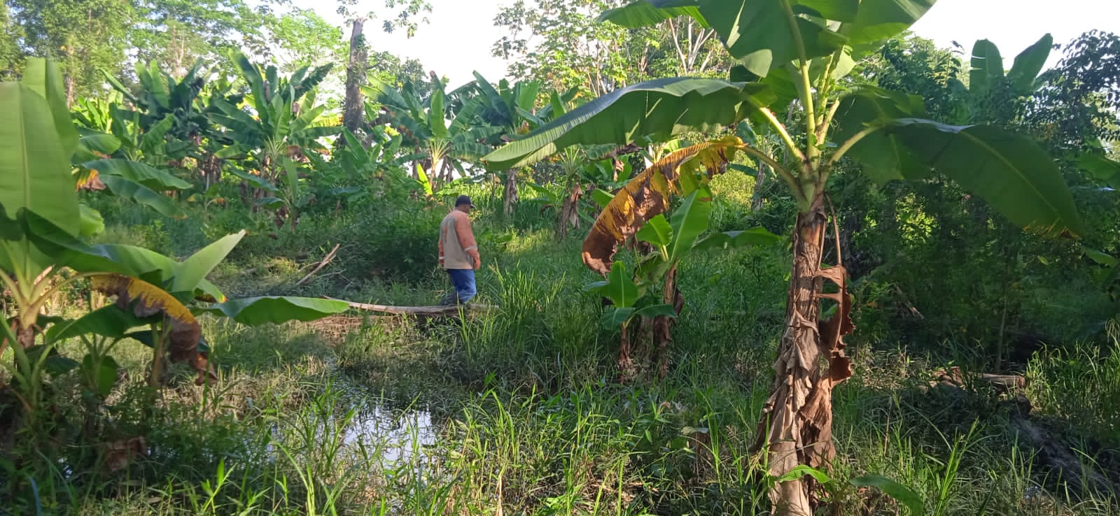 Emergencias por las lluvias en Antioquia