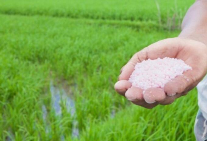 Precio del arroz no bajará hasta que empiecen a ceder los costos en el mercado internacional: Fedearroz