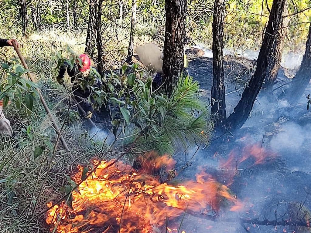 Incendio en el cerro Quitasol de Bello