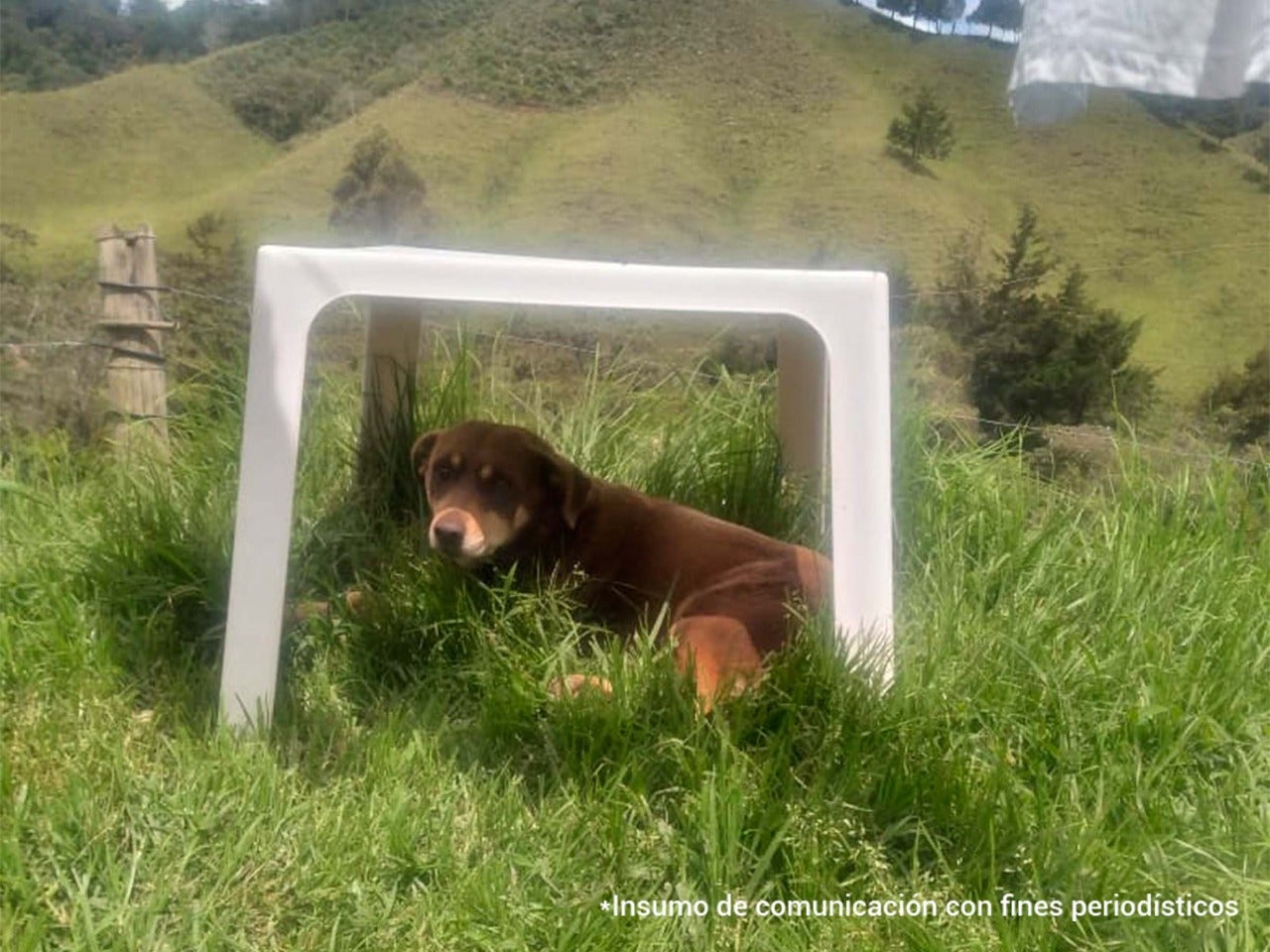 Por este delito el presunto agresor fue judicializado.