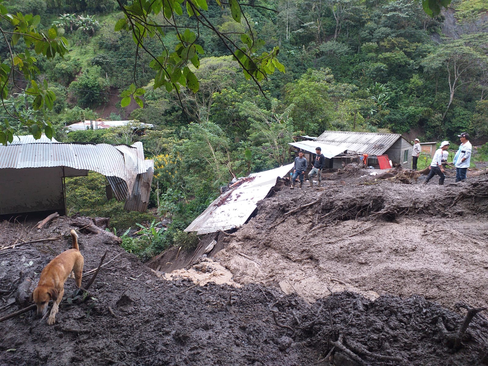 Invierno en Antioquia