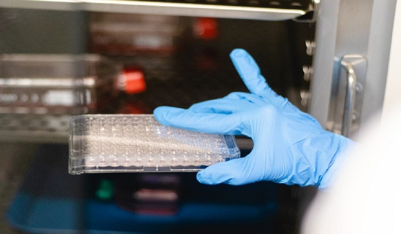 En laboratorio en Medellín lograron aislar el virus de la viruela del mono