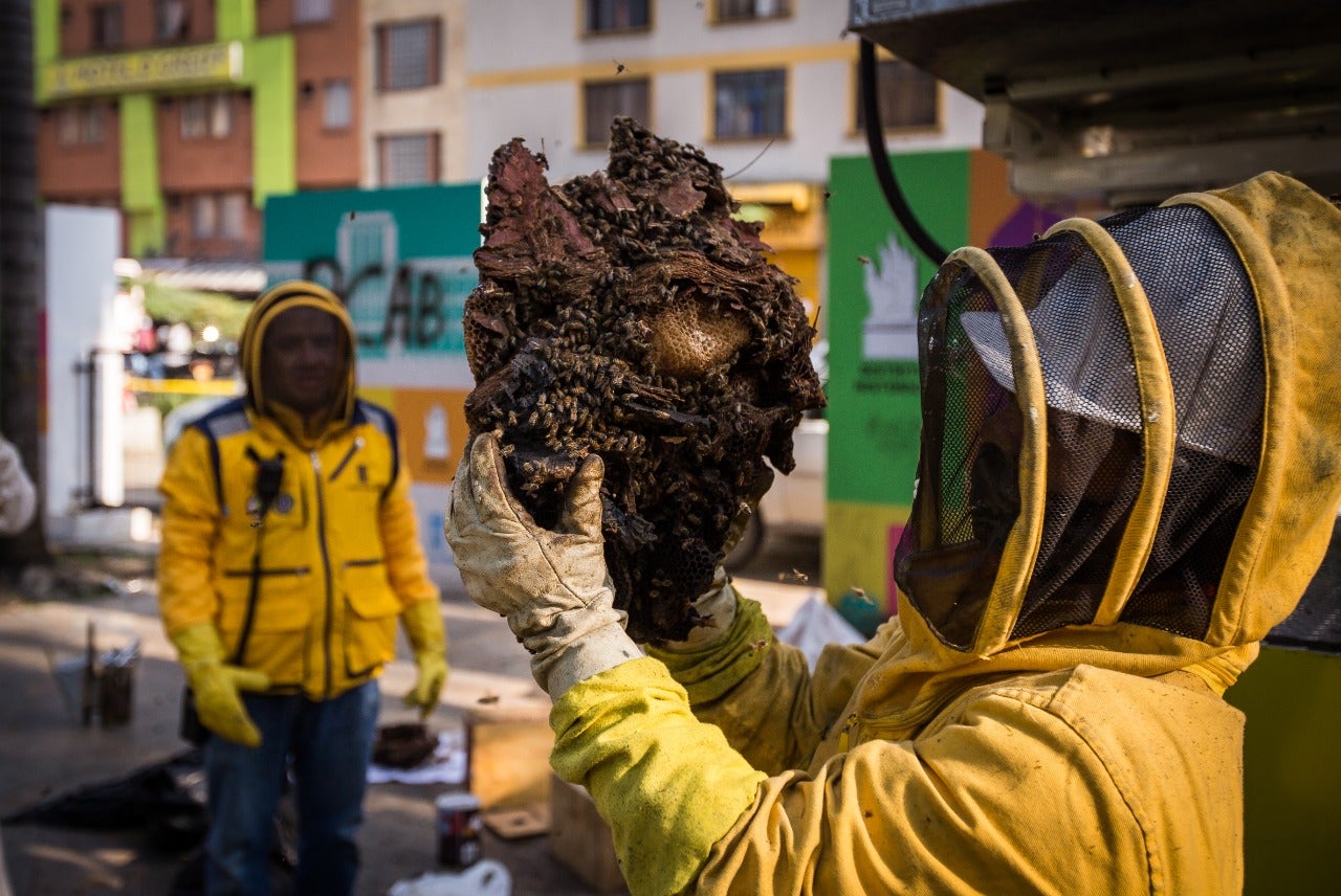 En la capital antioqueña han sido atendidas 120 incidencias de este tipo.