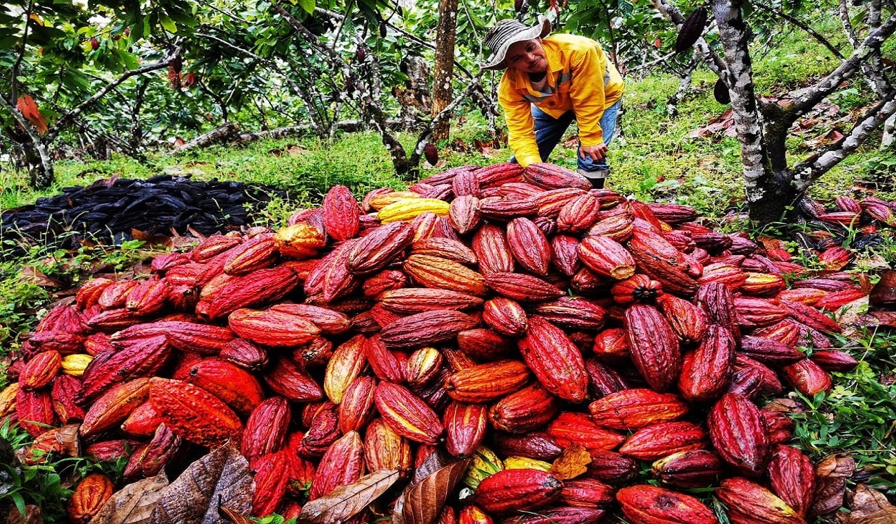Emprendimiento. Foto ilustrativa