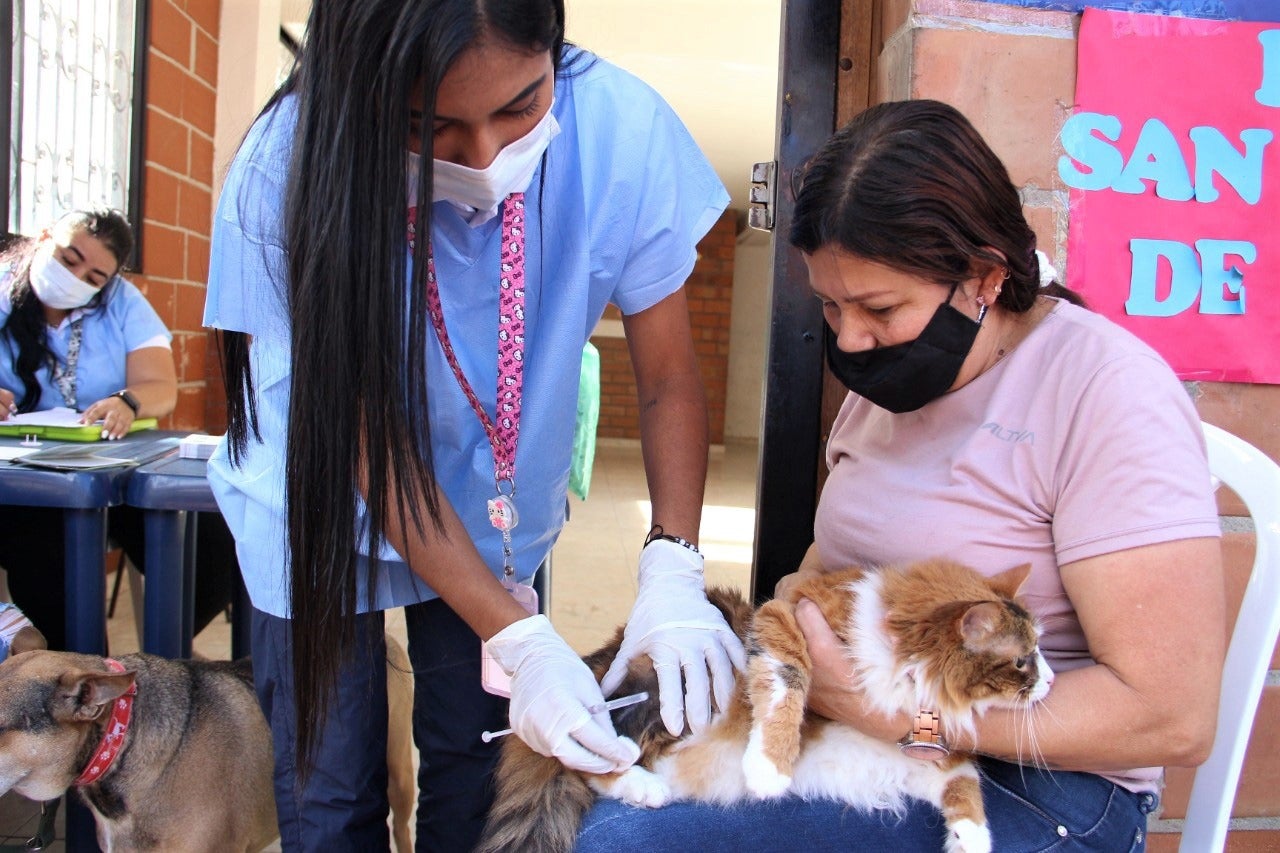 La vacunación se hará de manera gratuita.