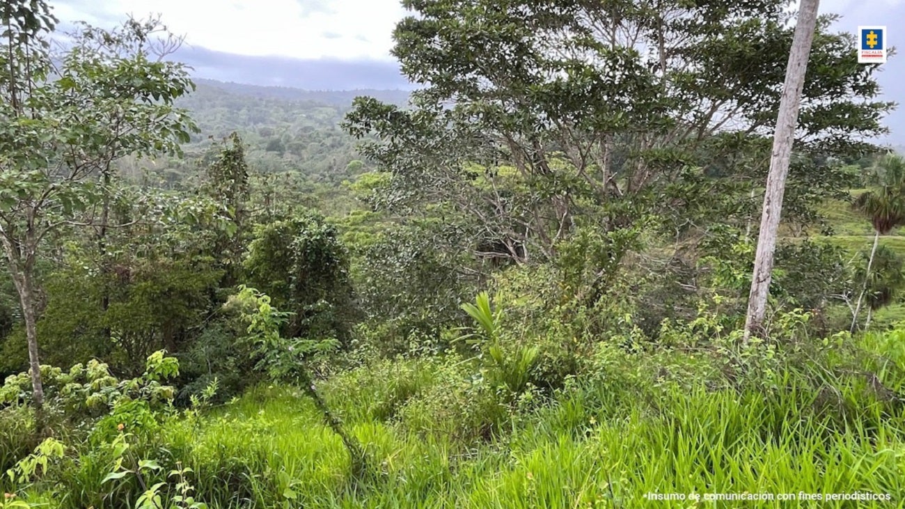Finca 'Mi Ranchito' de alias 'el Alemán'