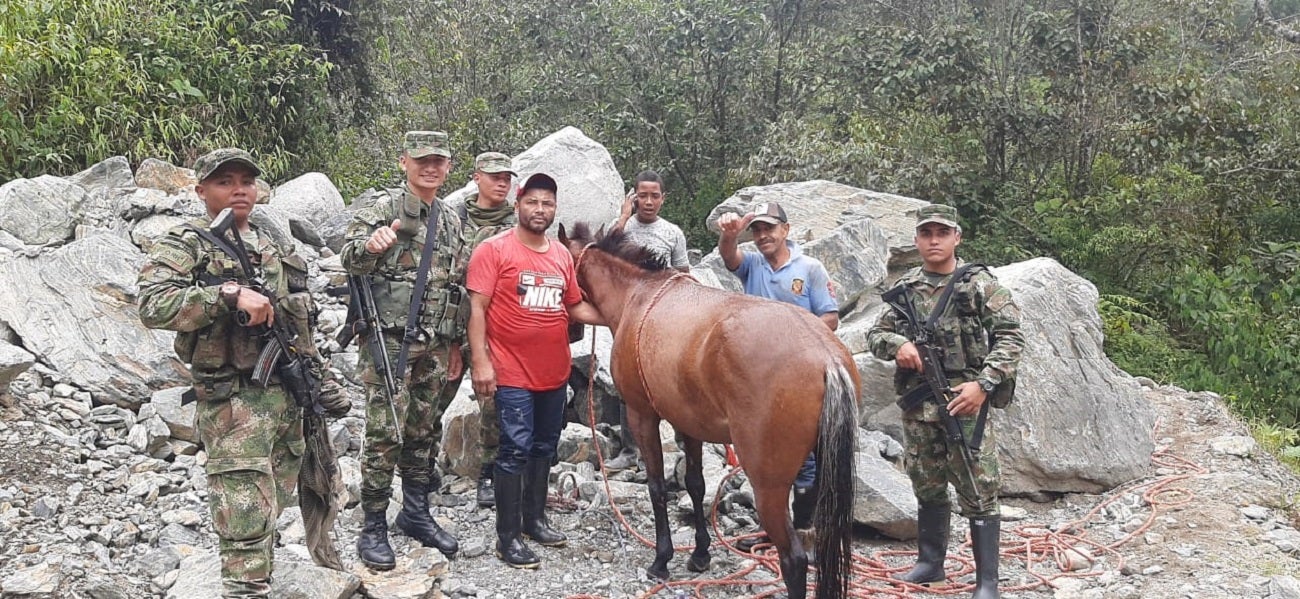 Rescate de un caballo en Antioquia