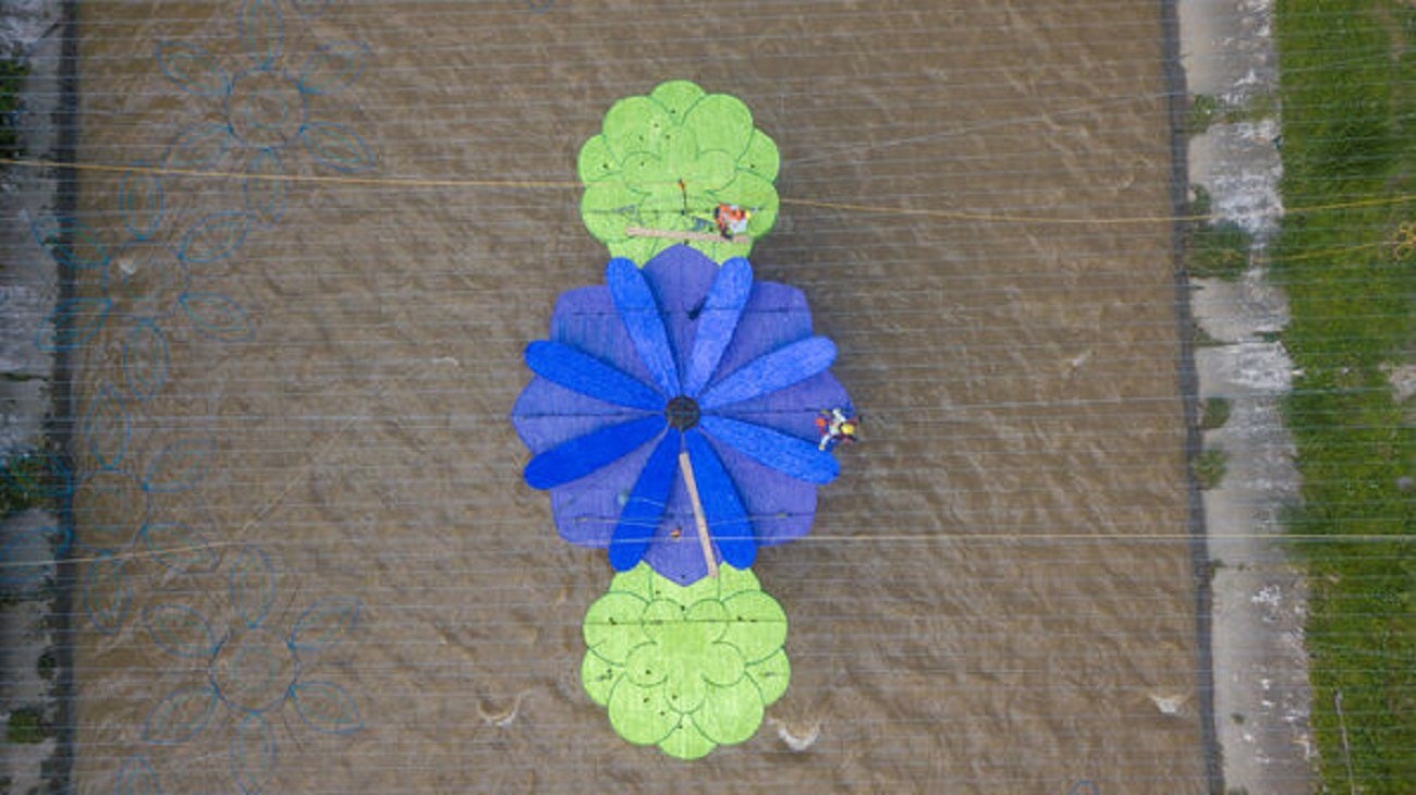 Alumbrados Navideños en Medellín