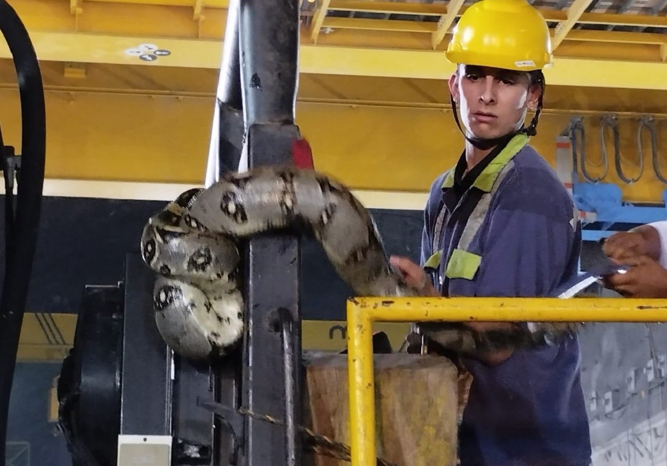 Hallan serpiente en la casa de máquinas de Hidroituango