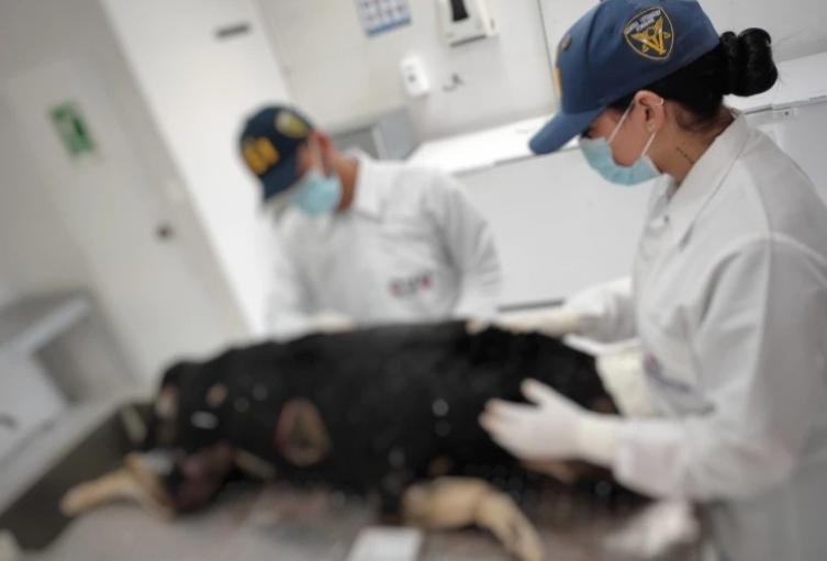 La Alcaldía de este municipio del oriente hizo un llamado al respeto y a la prudencia.