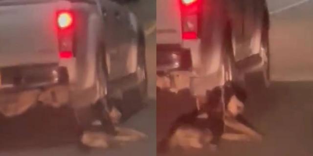 Esta persona quedó a disposición de la Fiscalía General de la Nación por el delito de maltrato animal.