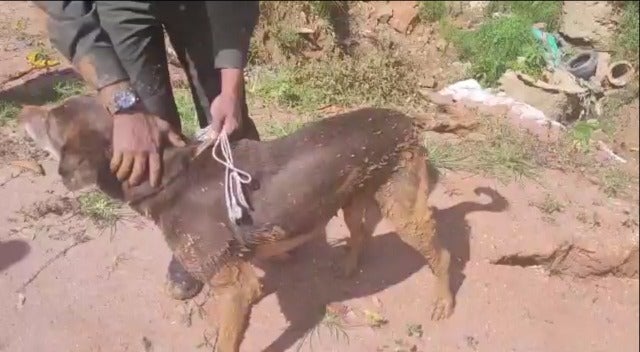 Las labores de rescate se extendieron durante dos horas.