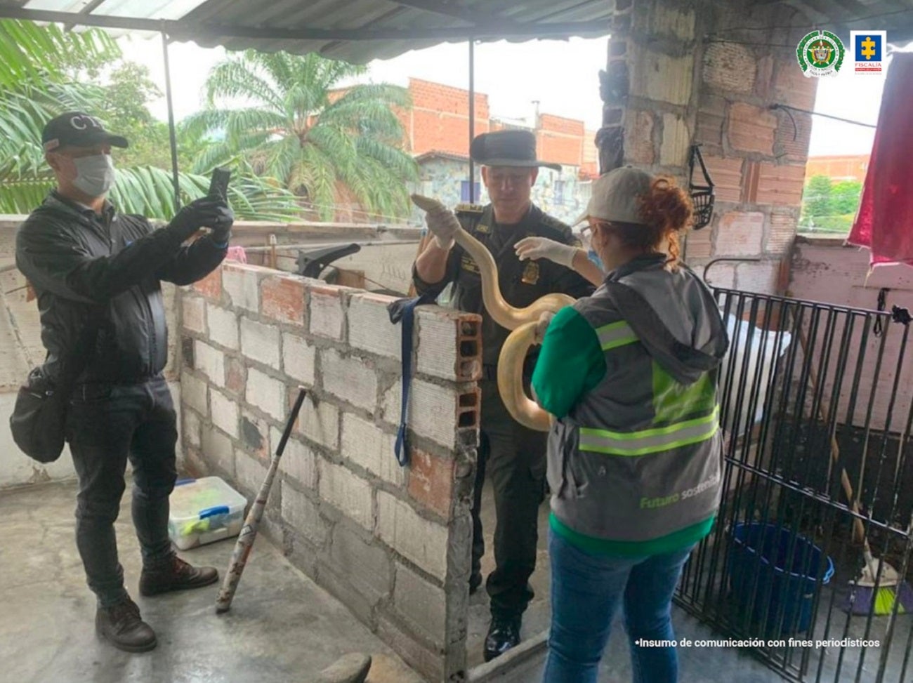 Judicializaron al hombre que tenía animales silvestres en una vivienda en La Floresta