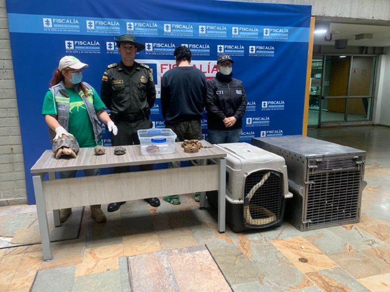 Incautación fauna silvestre en Medellín