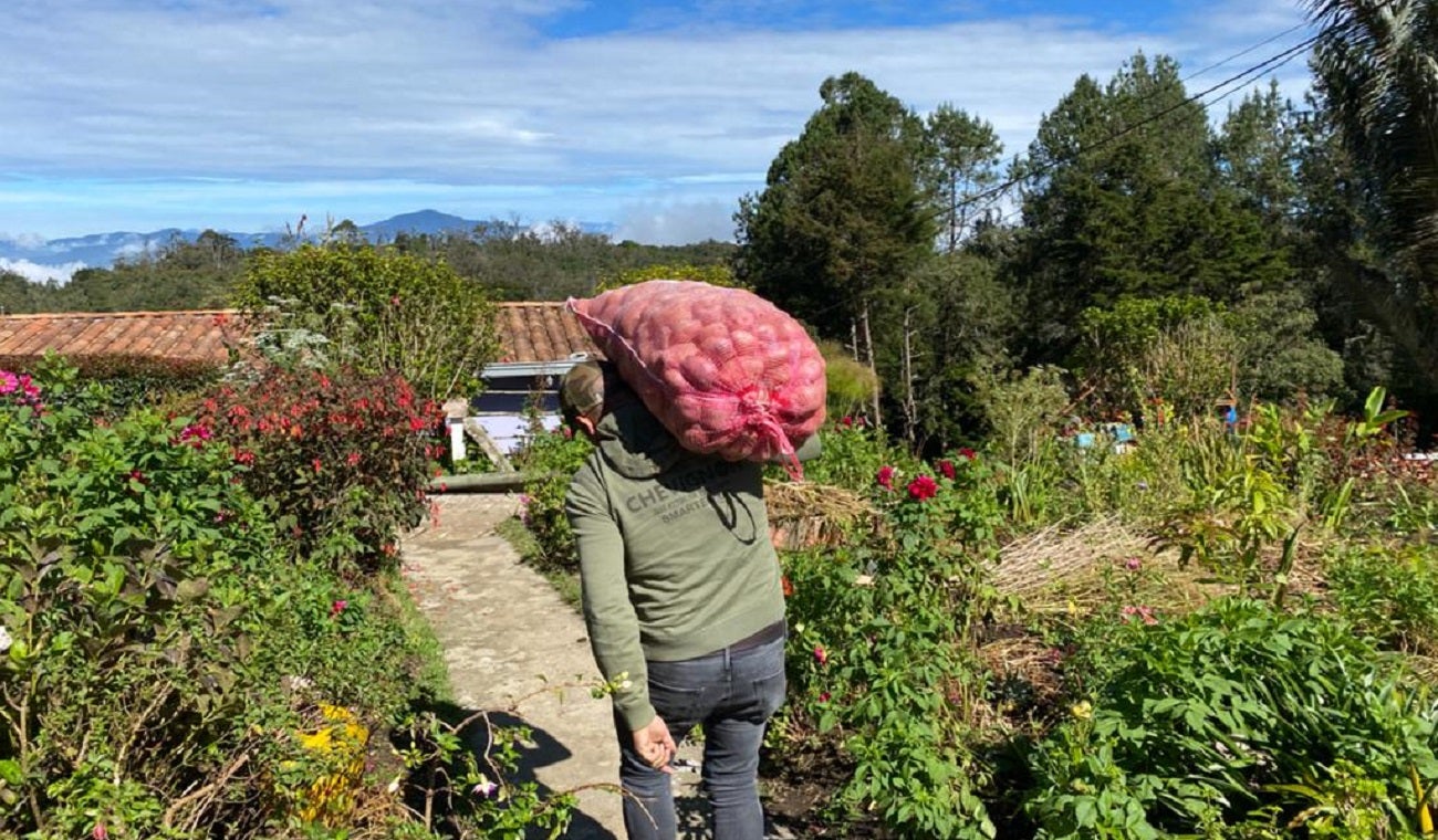 Productores agrícolas en Medellín