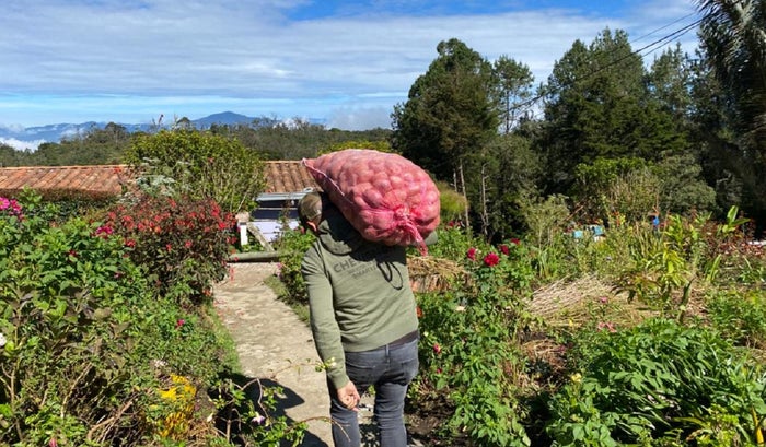 Productores agrícolas en Medellín