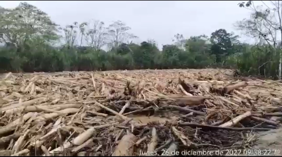 Empalizada de Murindó