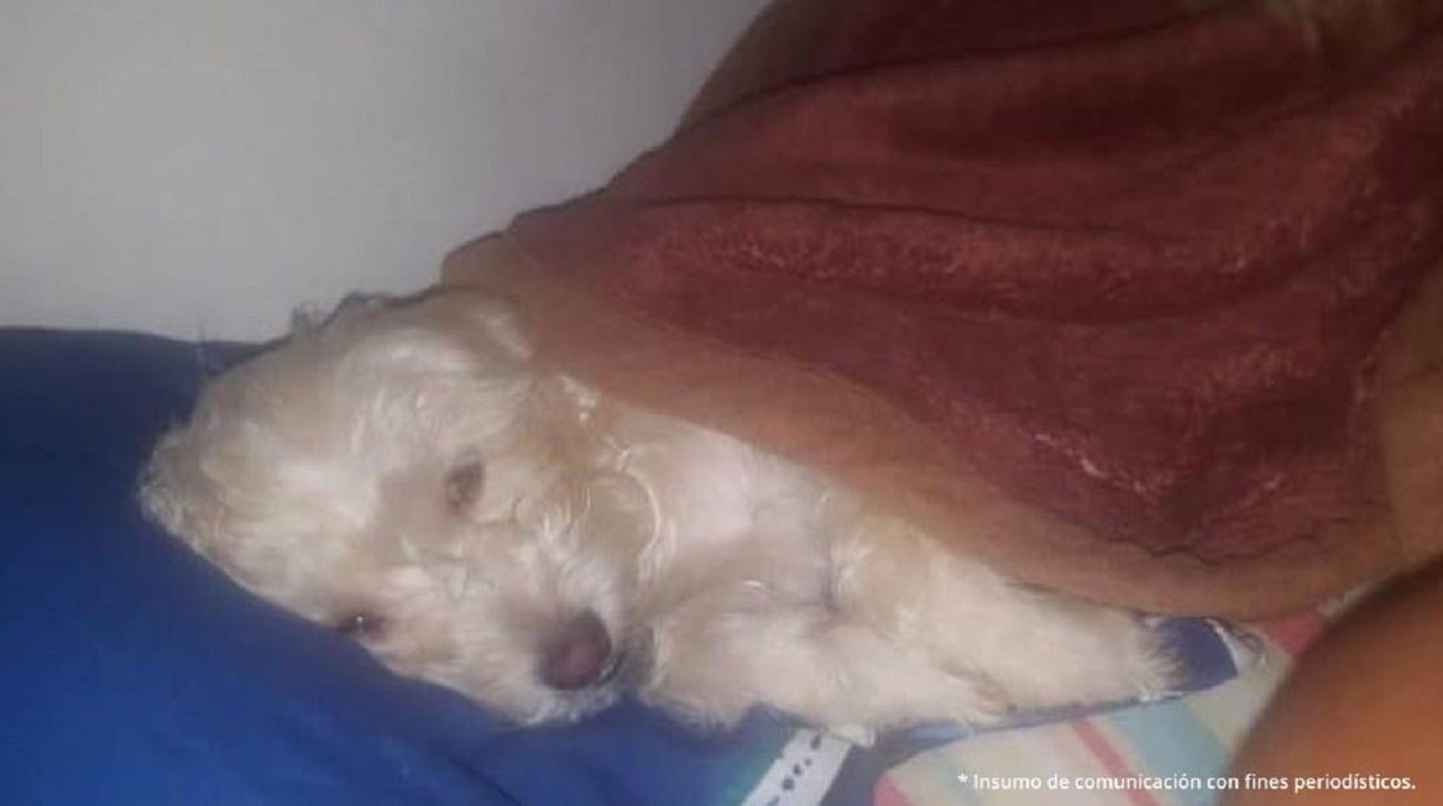 Susy´ recibió una fuerte patada que le causó graves lesiones internas que le provocaron la muerte