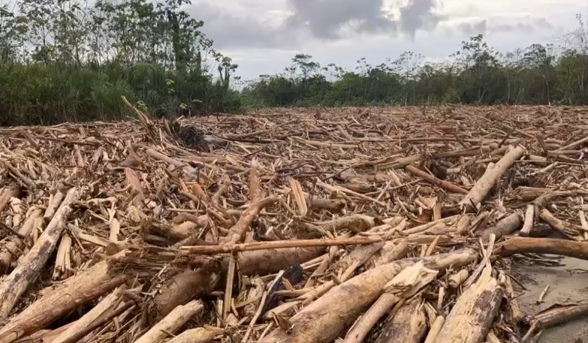 Empalizada en Murindó.