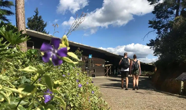 Un “gringo” se defendió a punta de patadas a redada de fleteros de Medellín