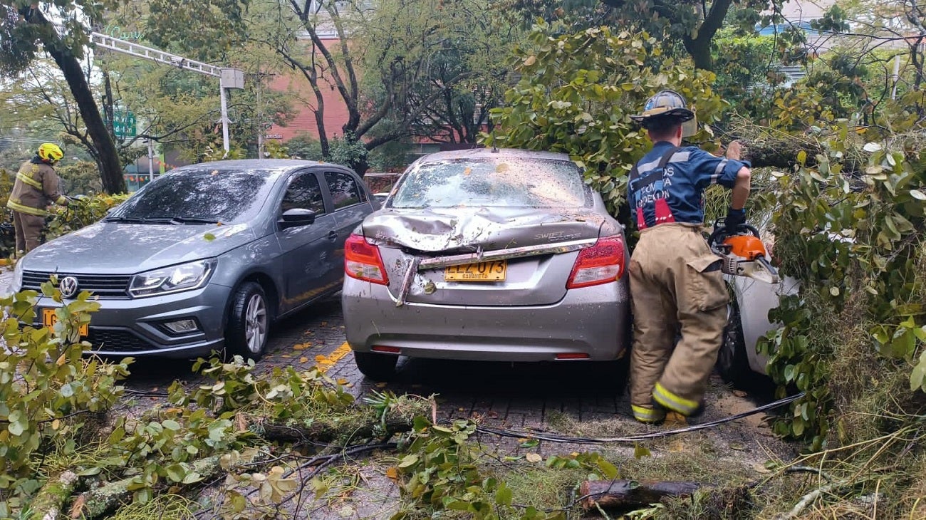Caída de un árbol en Medellín