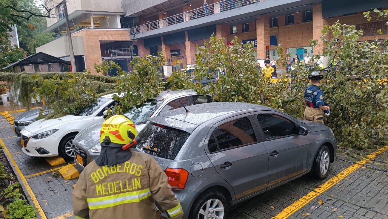 Caída de un árbol en Medellín