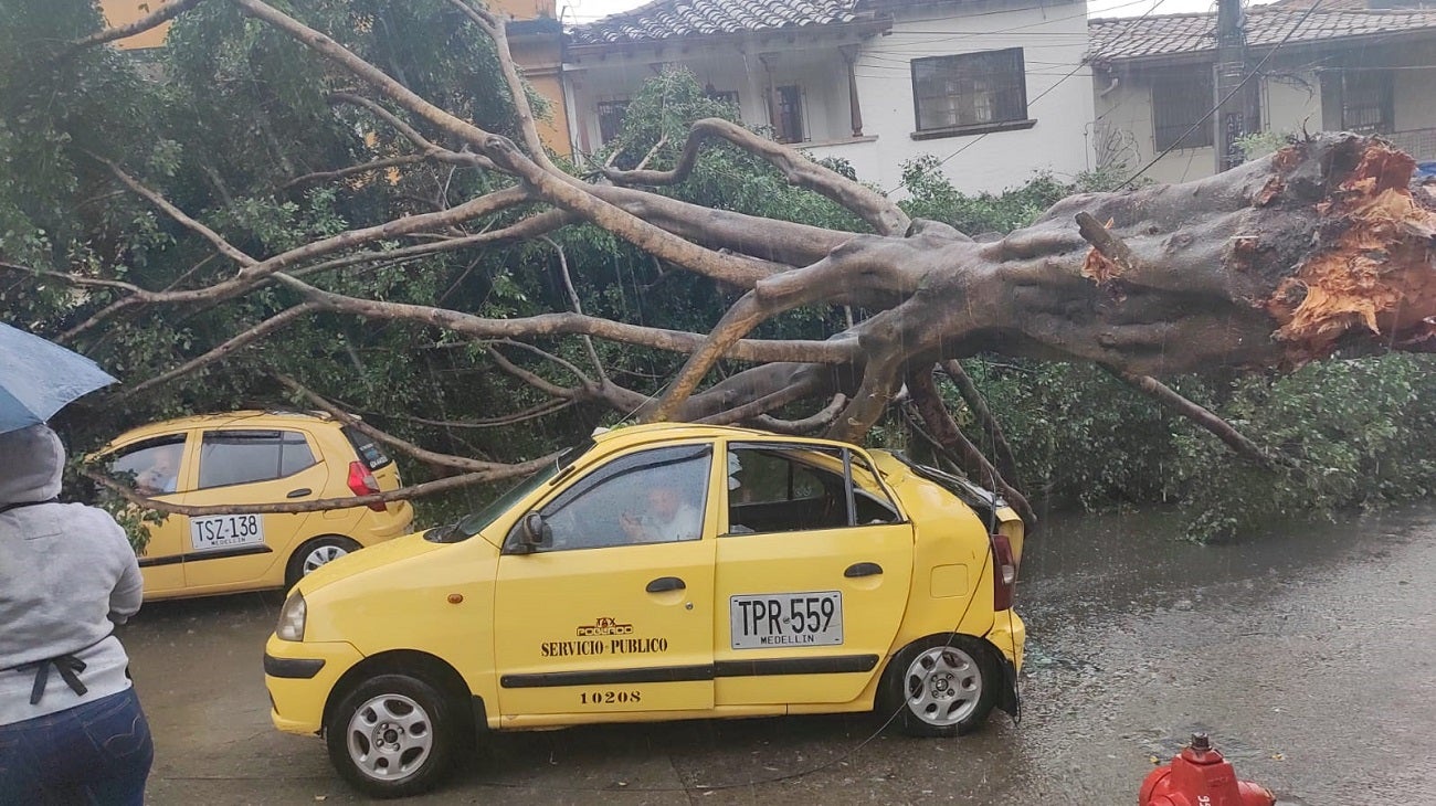 Caída de árbol en el centro de Medellín