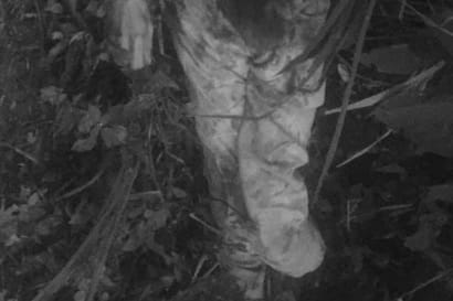 Hallaron cuerpo baleado en zona rural de Titiribí, suroeste Antioqueño