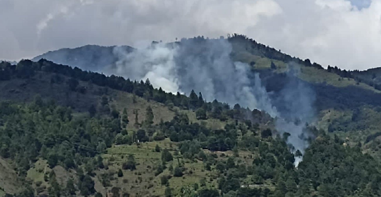 Incendio en el cerro Pan de Azúcar