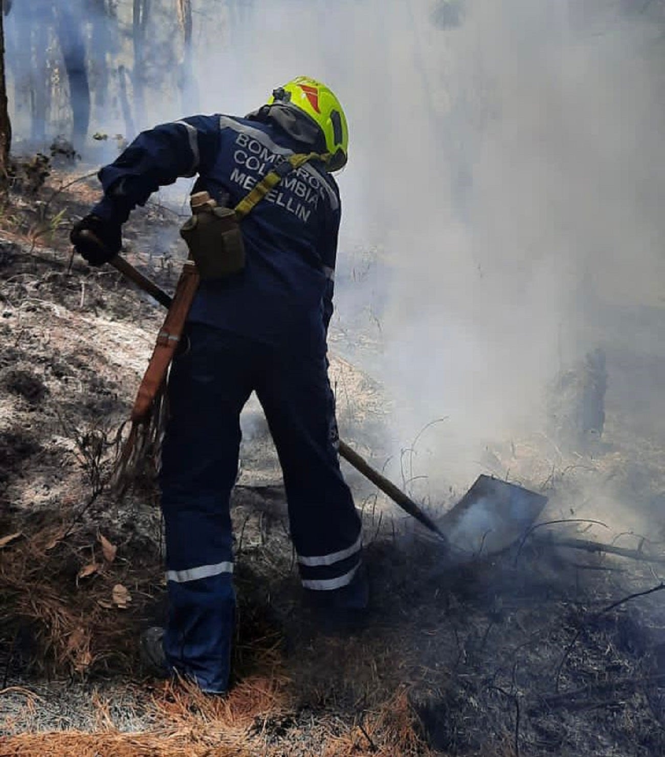 Incendio en el cerro Pan de Azúcar