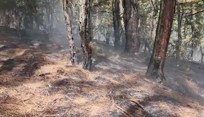 Incendio en el cerro Pan de Azúcar