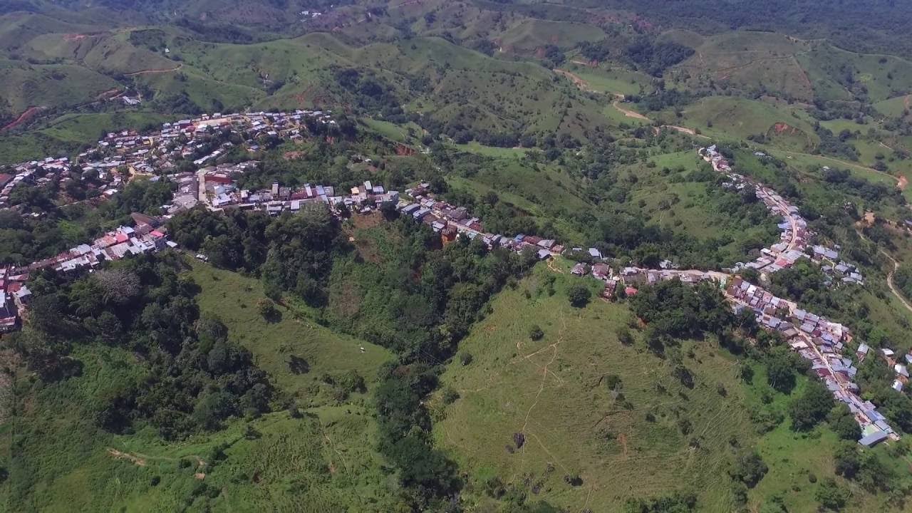 Desmovilizados de las Farc denunciaron hostigamientos con disparos de fúsil