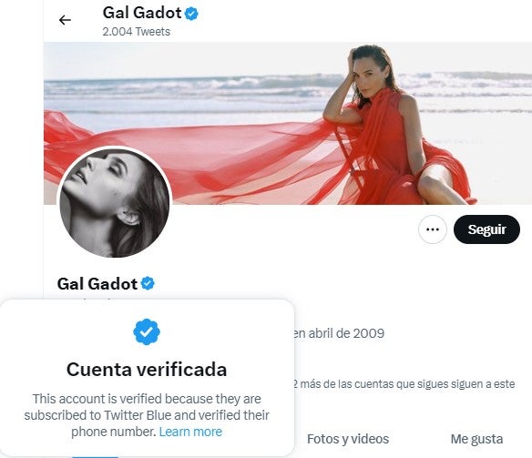 Twitter de Gal Gadot