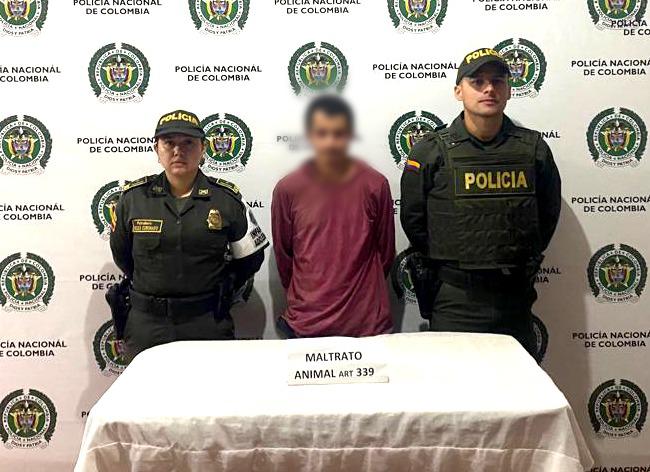 Macabra historia: Un perro callejero fue desmembrado por un campesino en Urrao, Antioquia