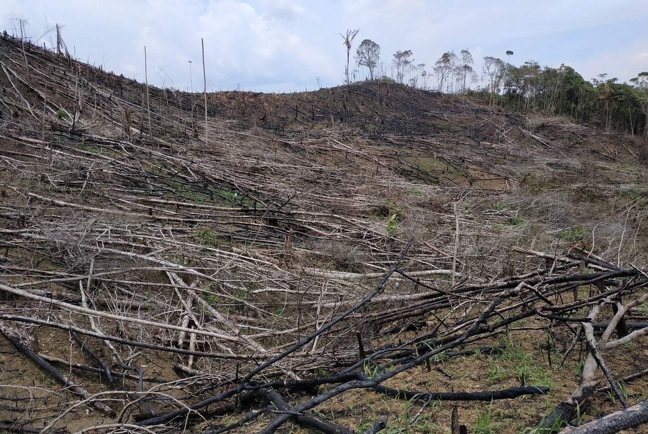 Deforestación Corantioquia