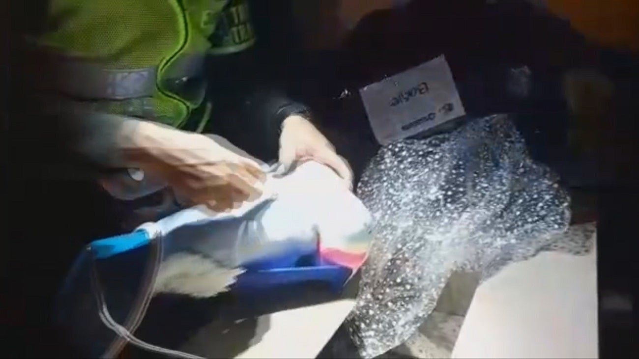 Incautan dos mil gramos de marihuana en Antioquia