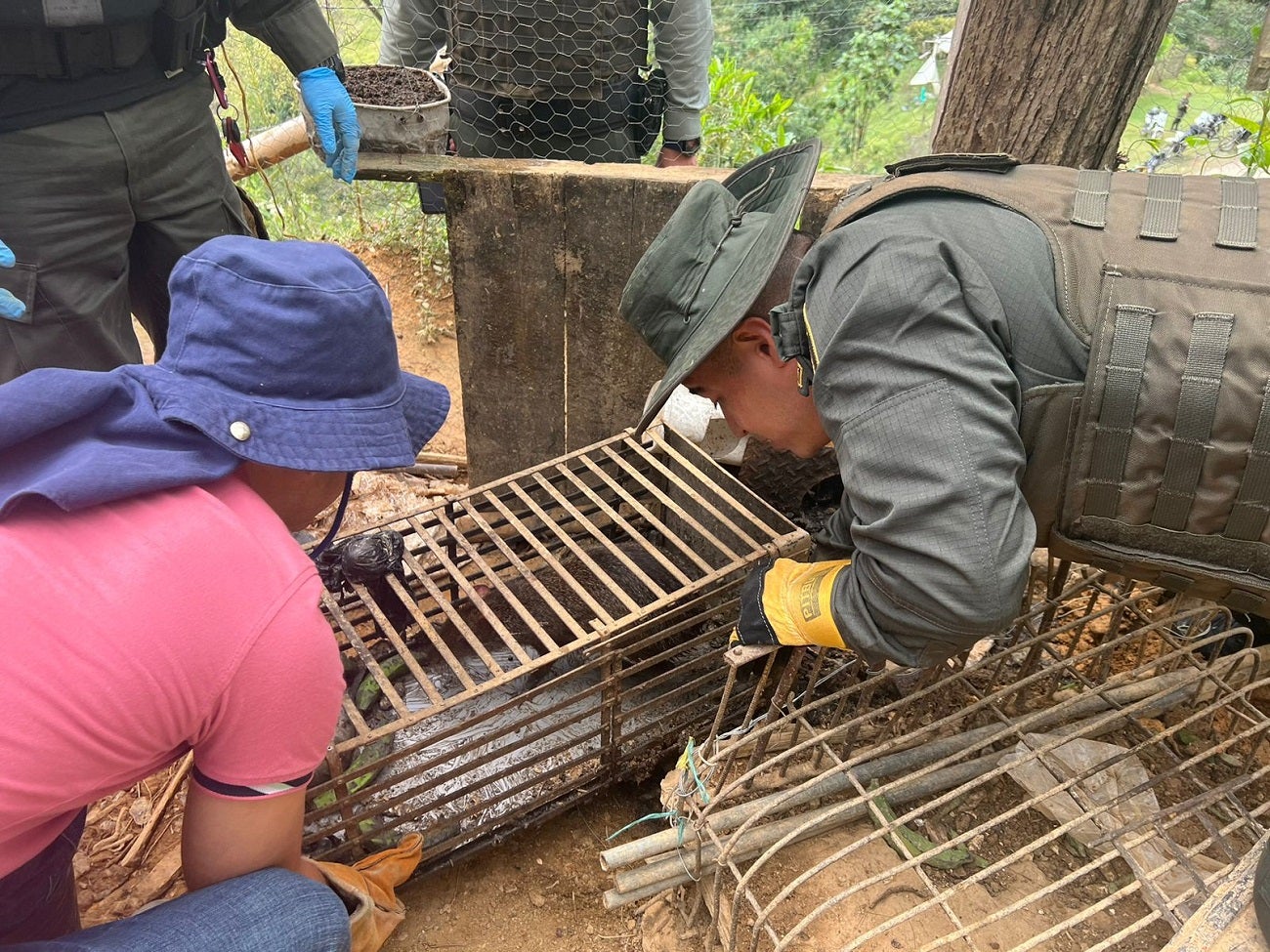 Captura de mujer con fauna silvestre