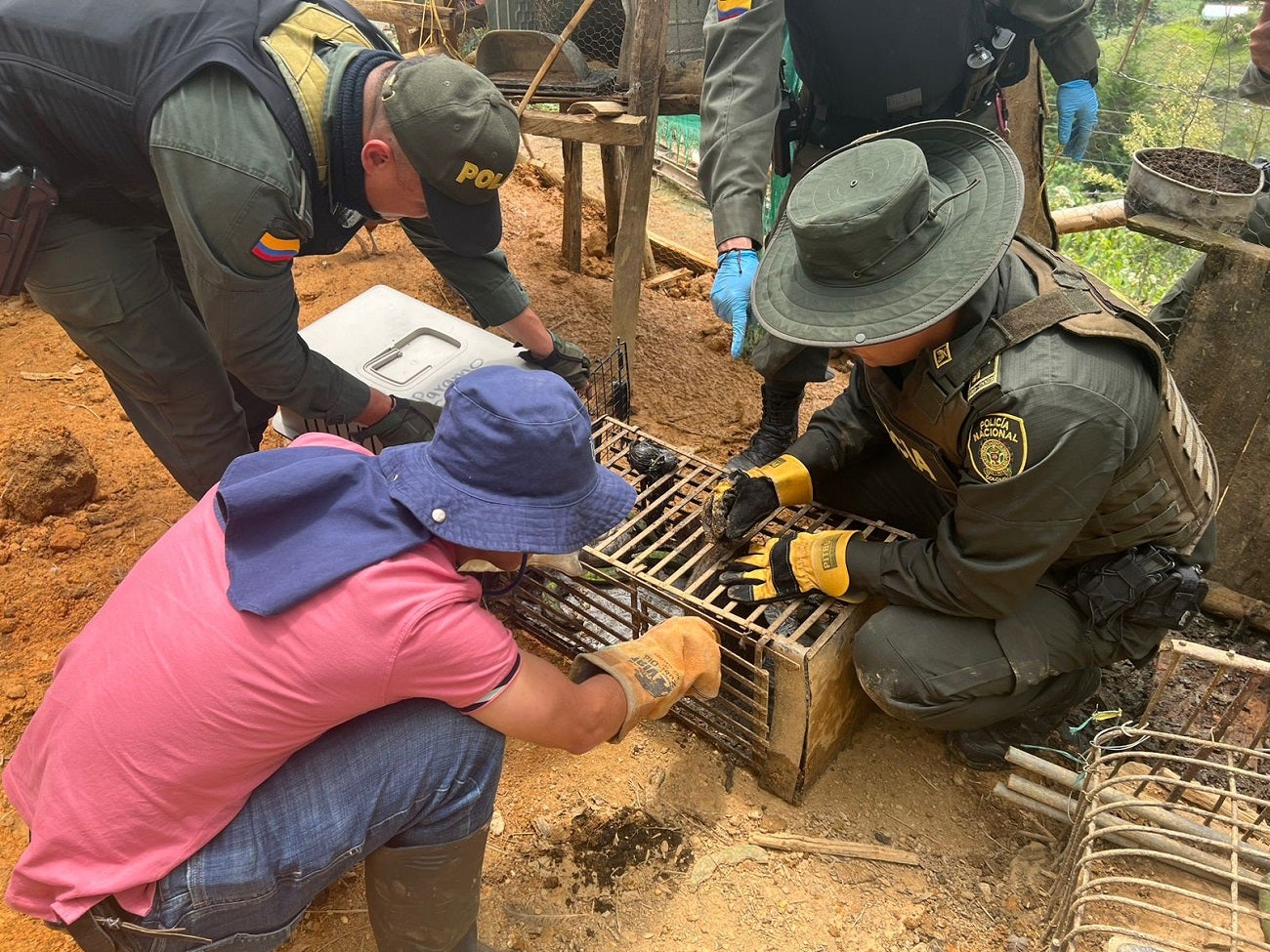 Captura de mujer con fauna silvestre