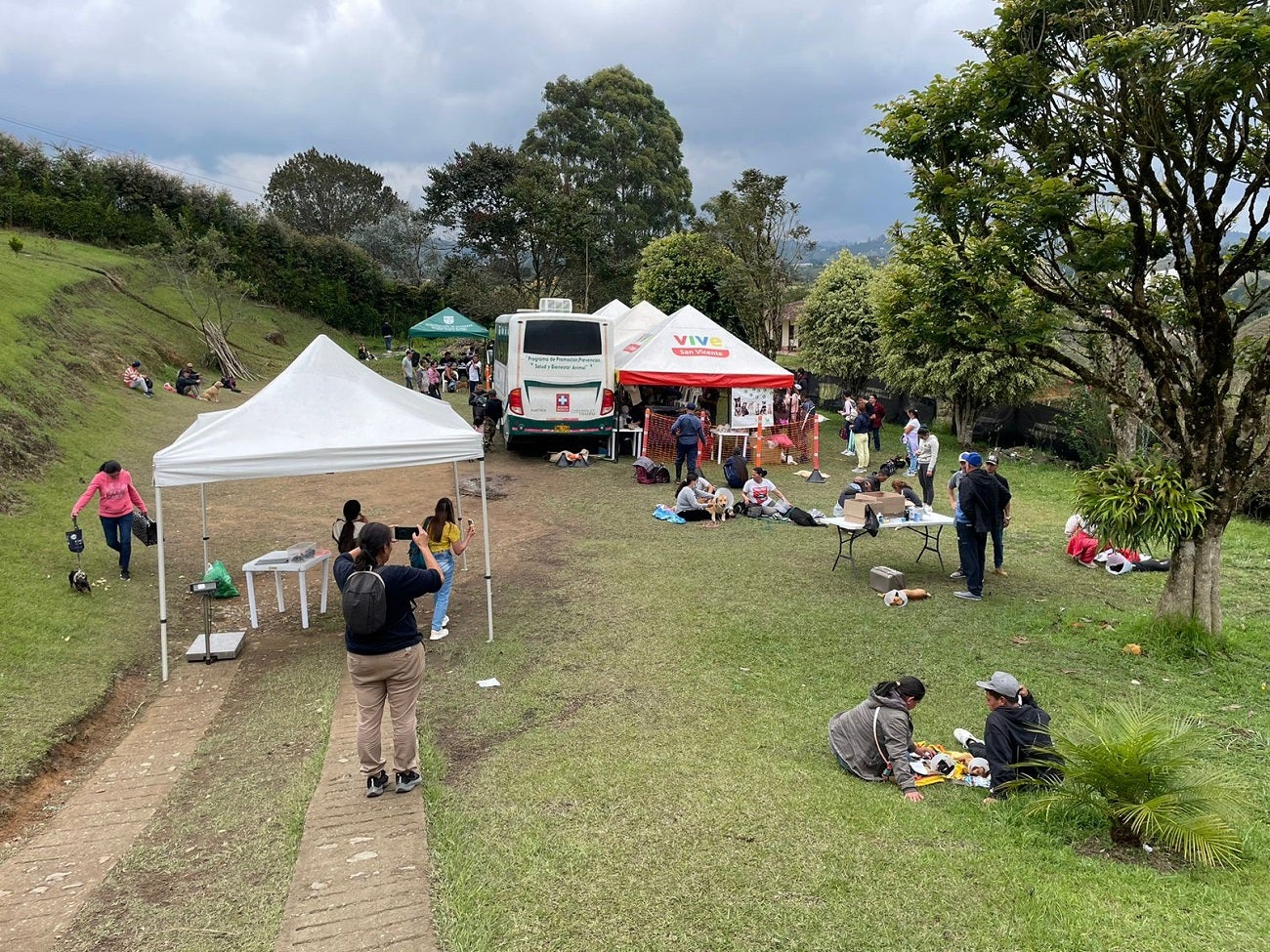 Jornadas de esterilización gratuita de perros y gatos